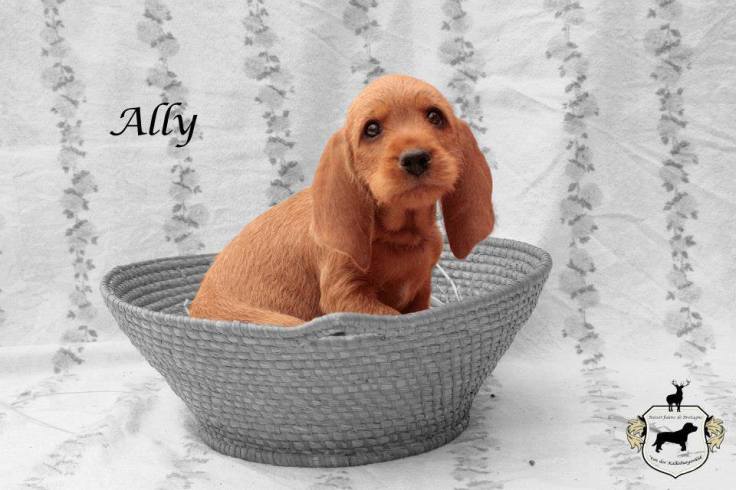 10906284_10200126875892780_4118053519414240329_n