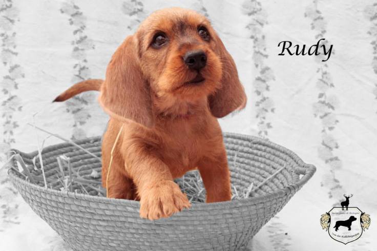 10919043_10200126876572797_1026492318876915516_n