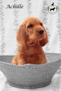 10922505_10200126876292790_1277617688941704555_n