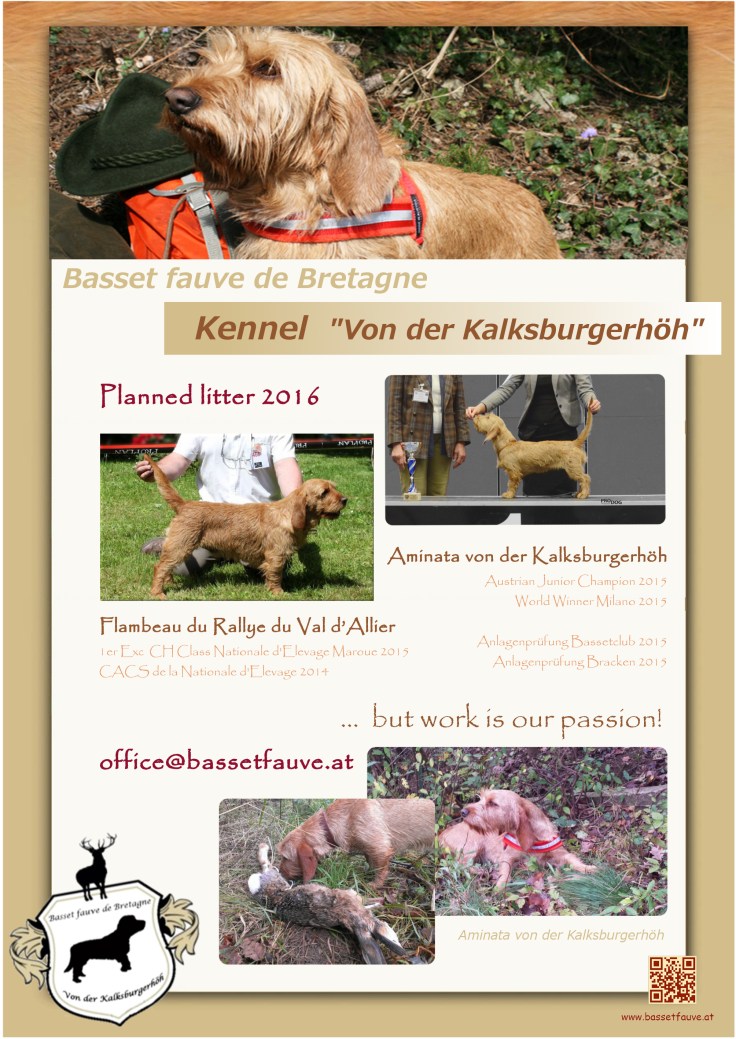 Deckmeldung 2016.jpg