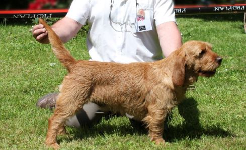 Flambeau du Rallye du Val d’Allier ... der künftige Papa!