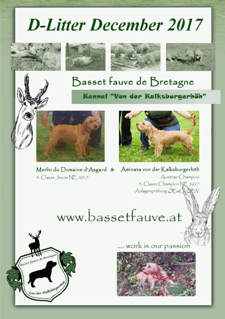 23415256_10203732853599969_2246976041321350048_o