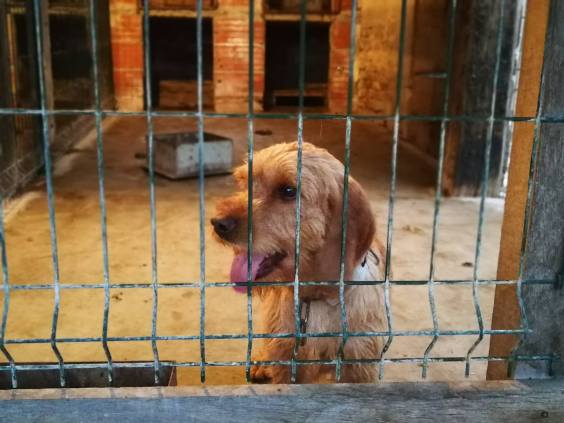 23415328_10203732853919977_4786891848837330960_o