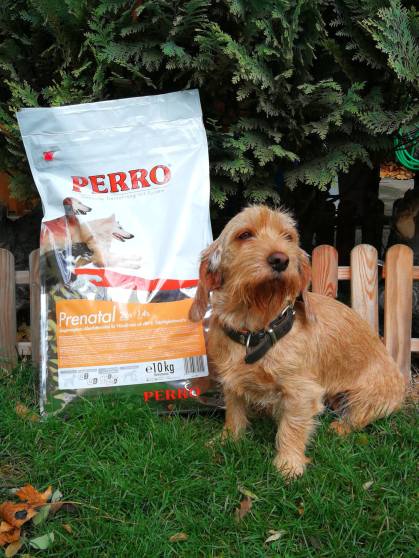 23509095_10203732854880001_4296322805853361437_o