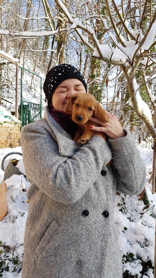 48362612_10205130630103508_6719412812025692160_n