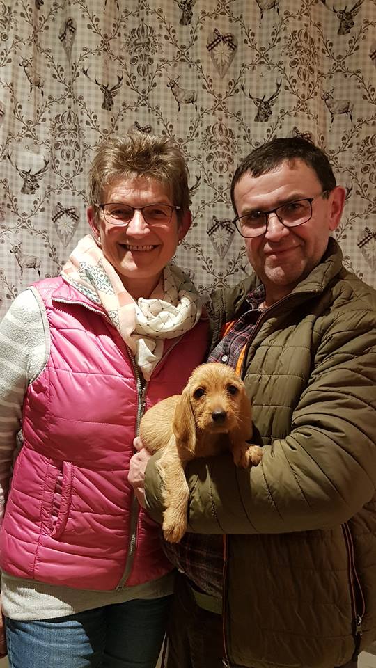 48421935_10205143983157326_2588145454323597312_n