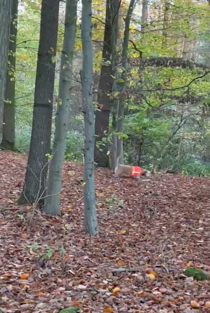 Dieses Bild hat ein leeres alt-Attribut; sein Dateiname ist 312714066_10209485045601174_6951335495918118644_n-1.jpg