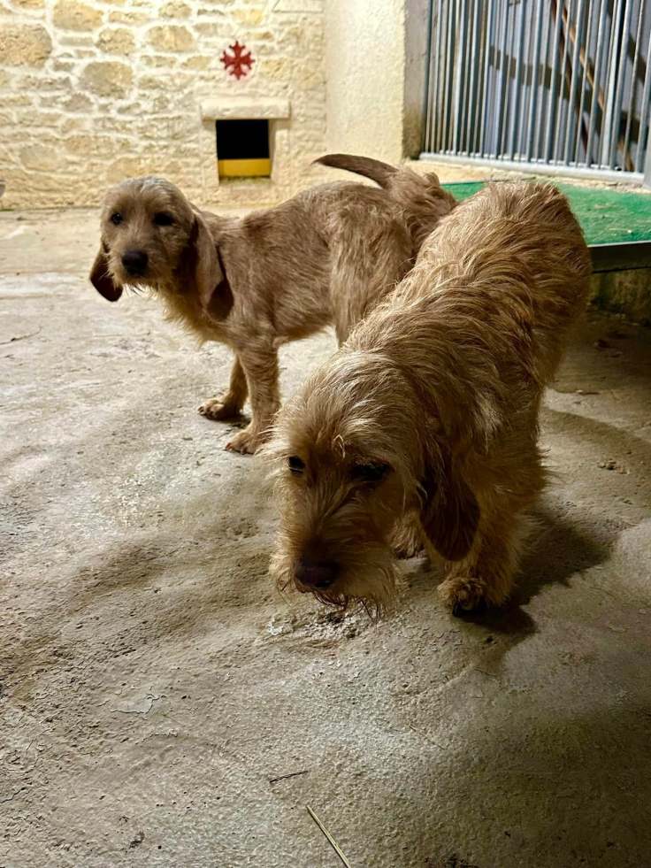 Weihnachtsgrüße aus Frankreich